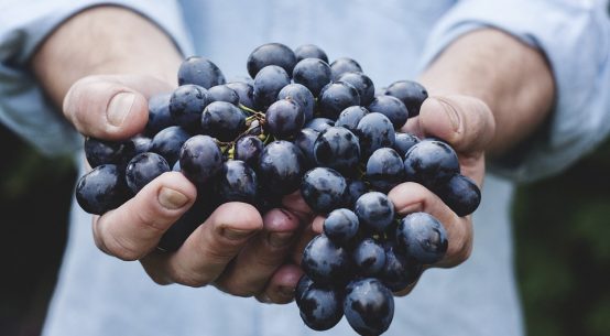 cibi acidificanti e cibi alcalinizzanti: uva